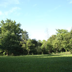 parco di Ariis